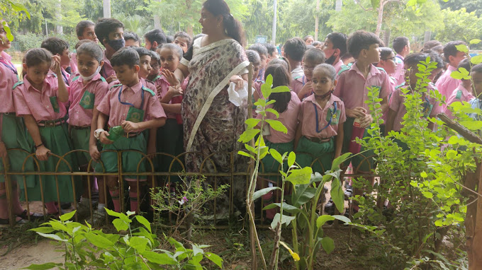 Mahavira International School campus 4