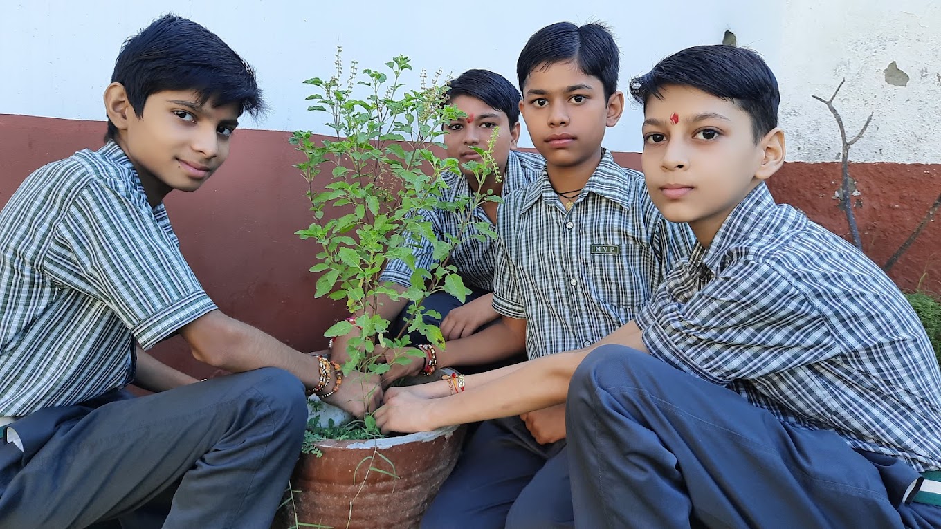 Mansa Vidya Peeth campus 5