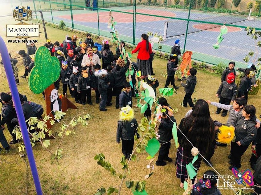 Maxfort School 12