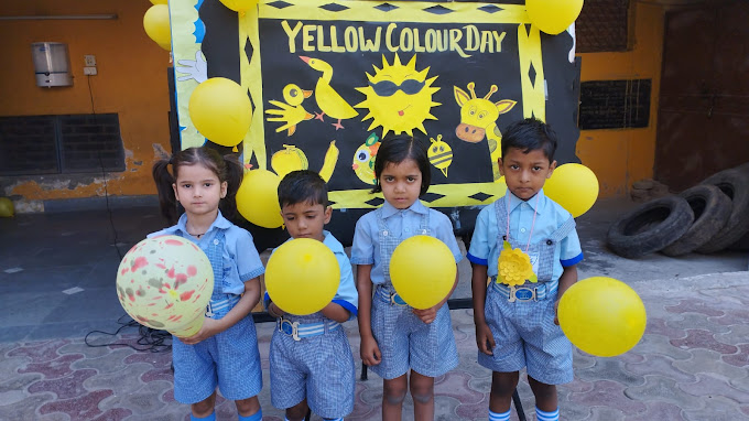 Hari Vidya Bhawan Senior Secondary School campus 3
