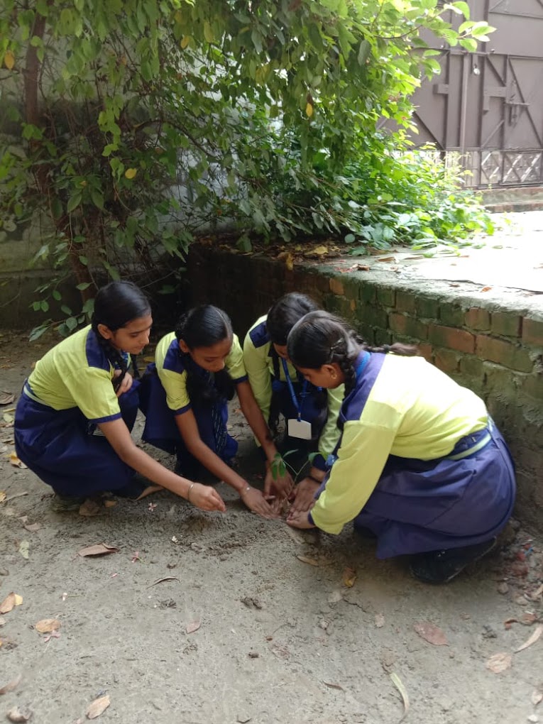 Raj Shree International Public School 2