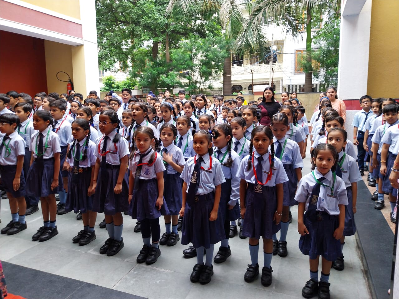 Ryan International School campus 5