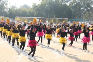 SM Arya Public School 6