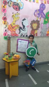 SM Arya Public School 16