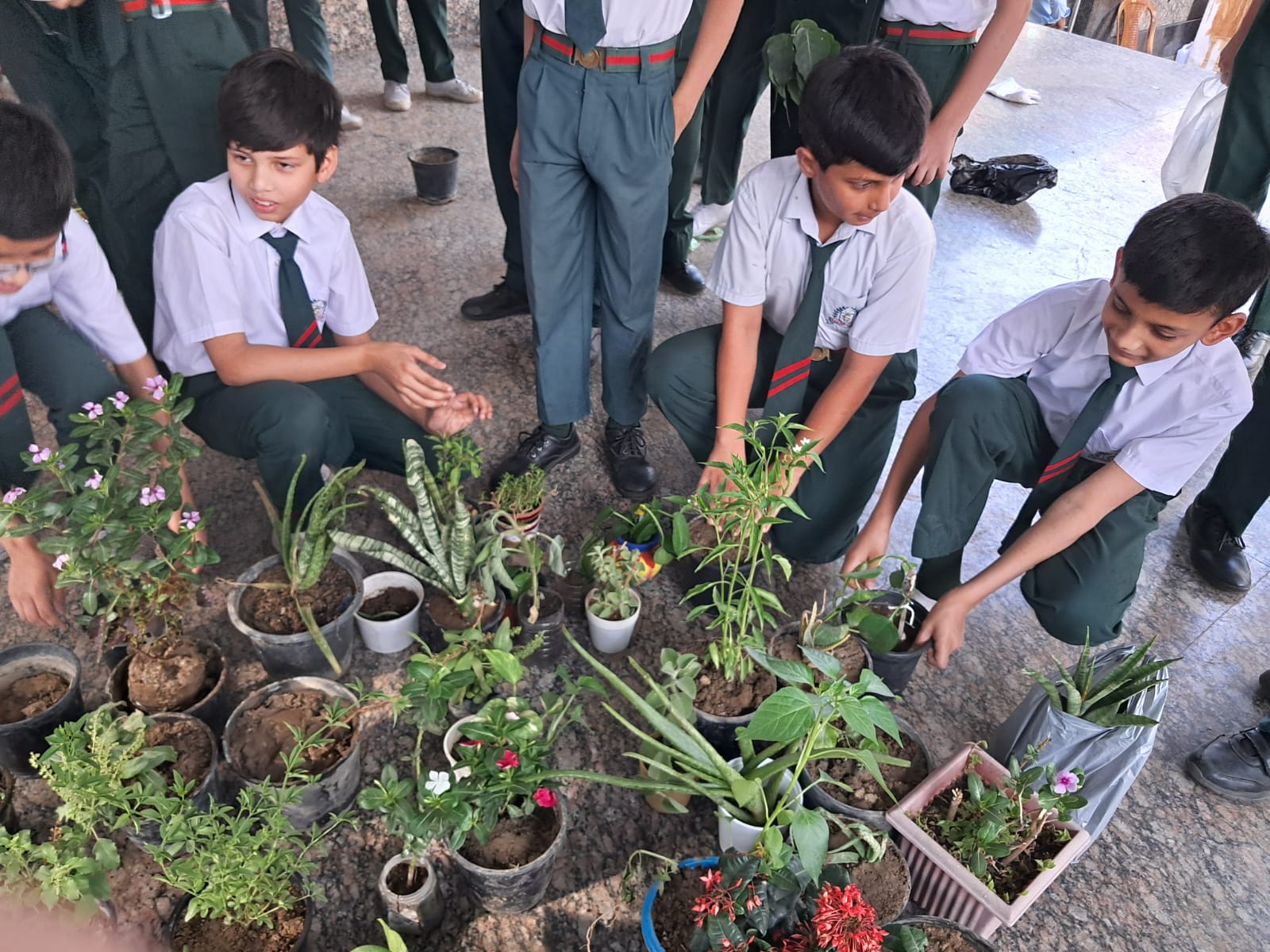 Crescent School 4