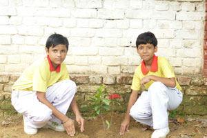Shokeen International School 3