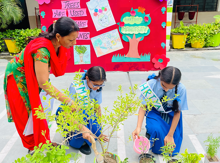 St. James School campus 3