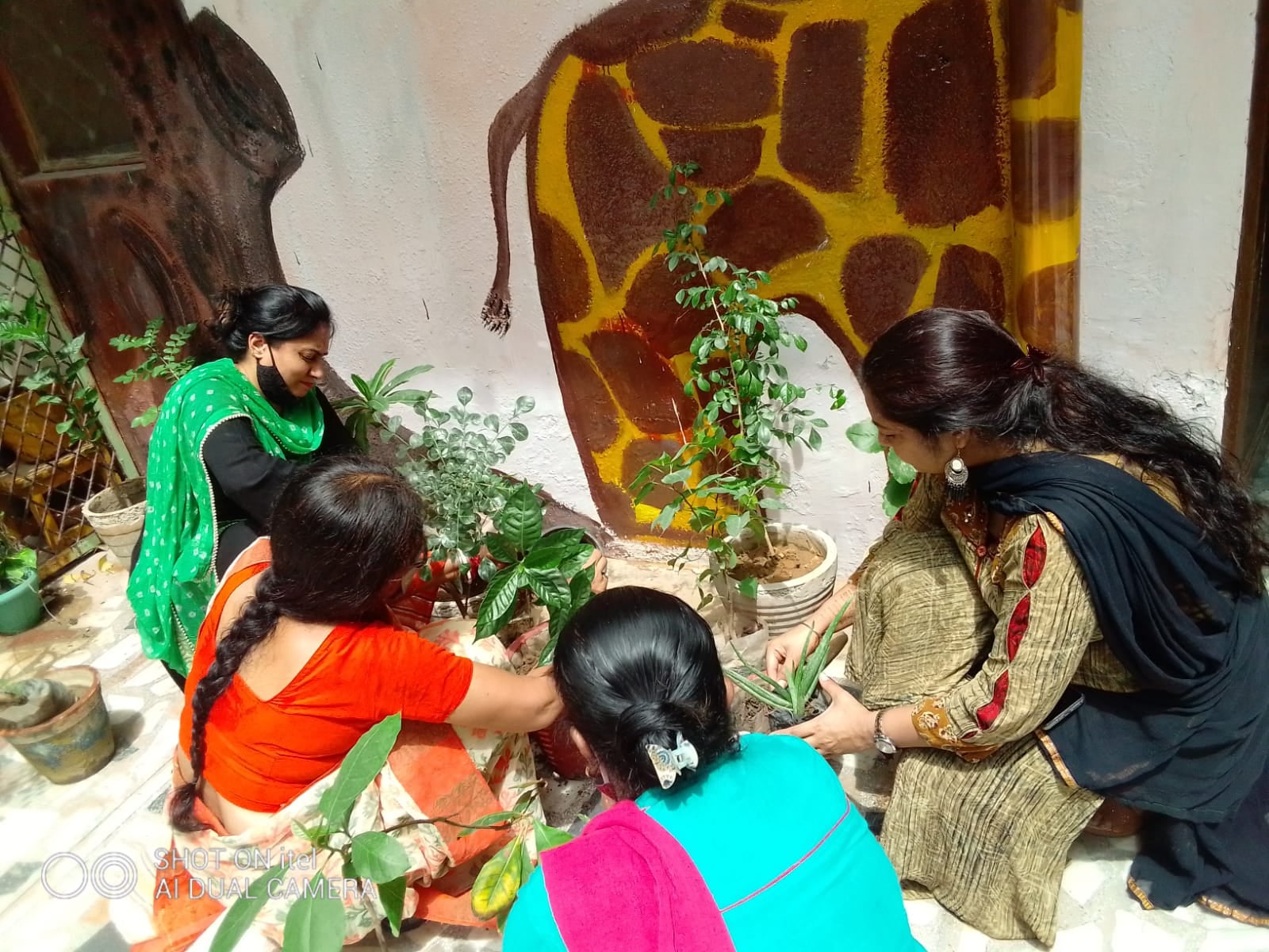 Sunny Convent School campus 6