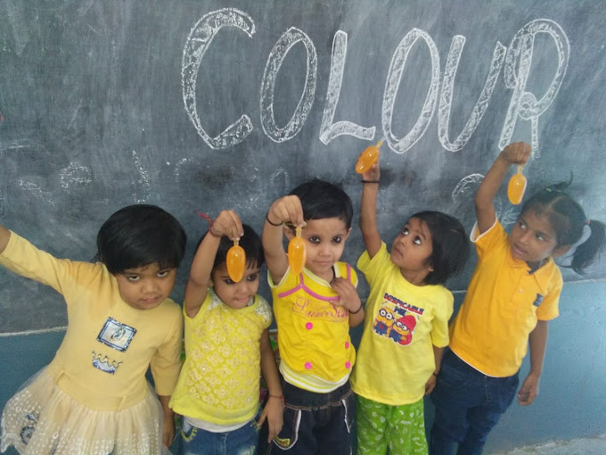 Vijay Vidya Niketan Public School campus 3
