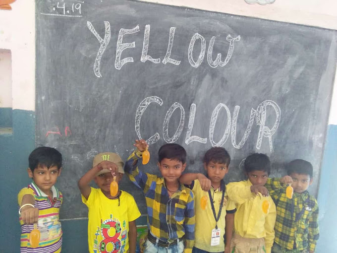 Vijay Vidya Niketan Public School campus 4