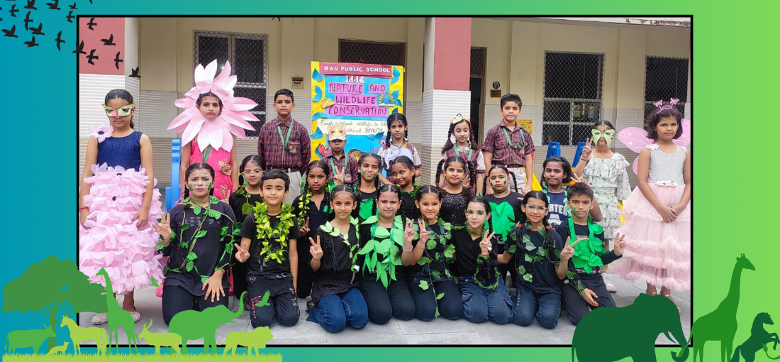 DAV Public School 11