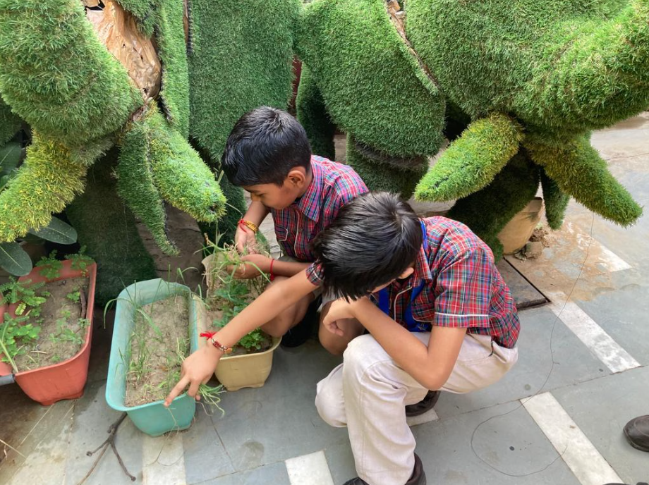 DAV Public School 28