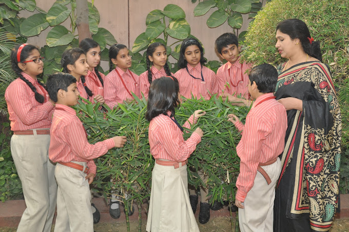 Vishal Bharti Public School 27