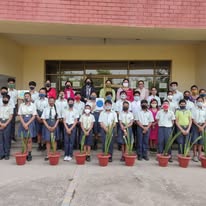 Brain Tree Global School 15
