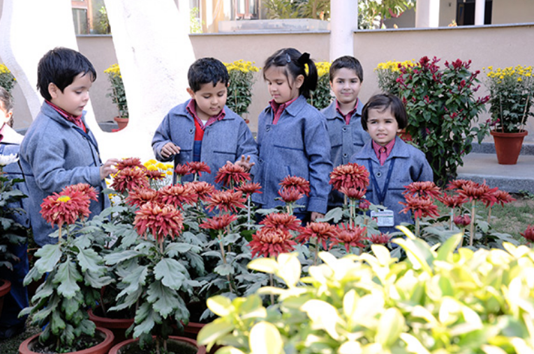 Shah International School 10