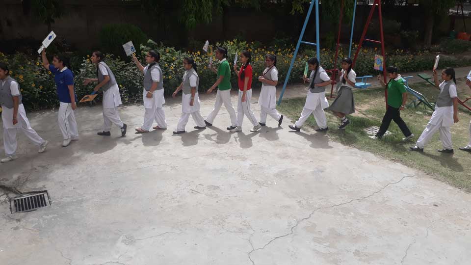 Pusa Public School 5
