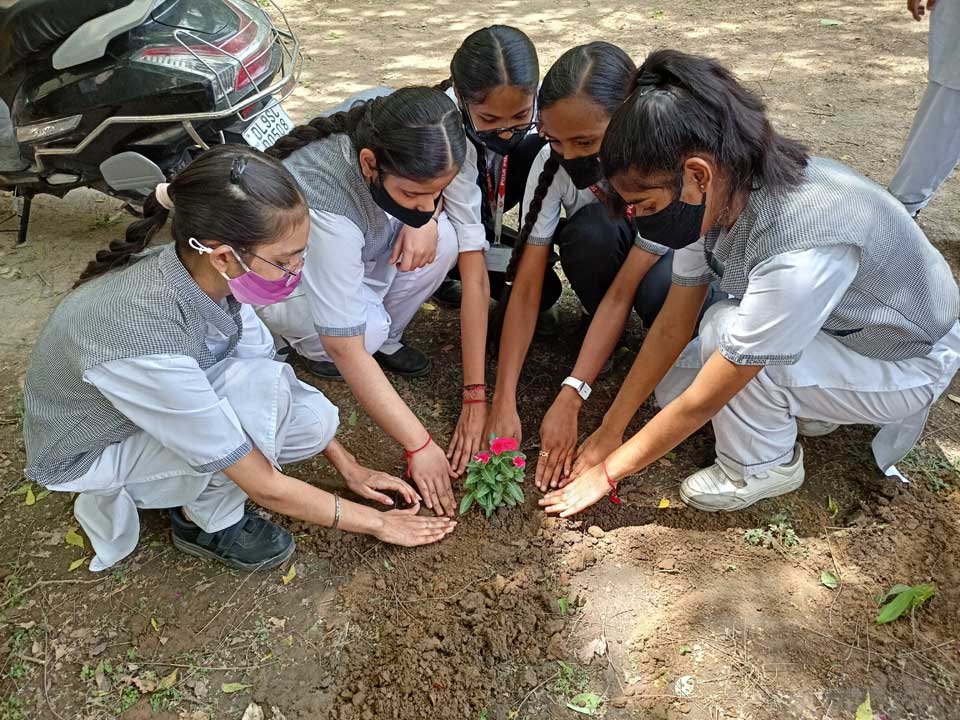Pusa Public School 7