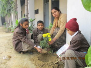 New Age Public School 22