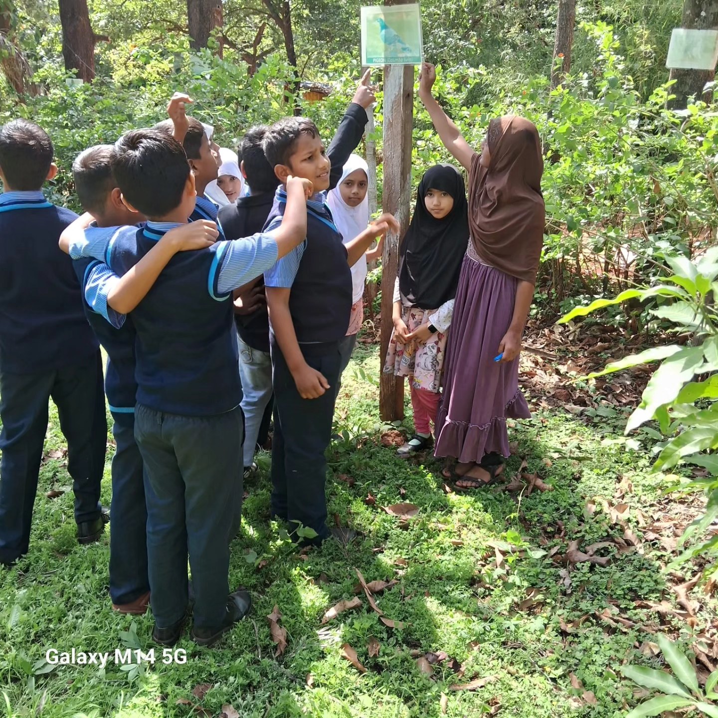 Anjuman I Islam Public School 8