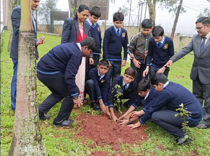 Bharati Vidyapeeth Gods Valley International School 22