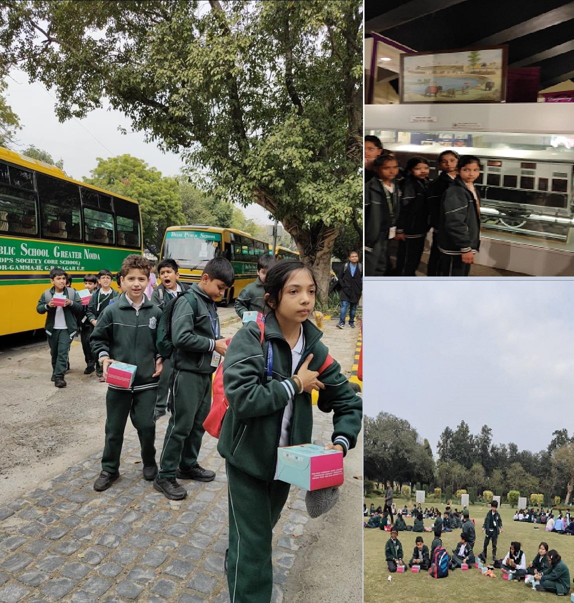 Delhi Public School 19