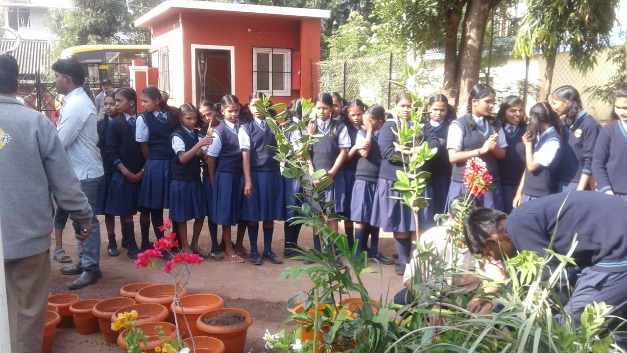 National Public School 7