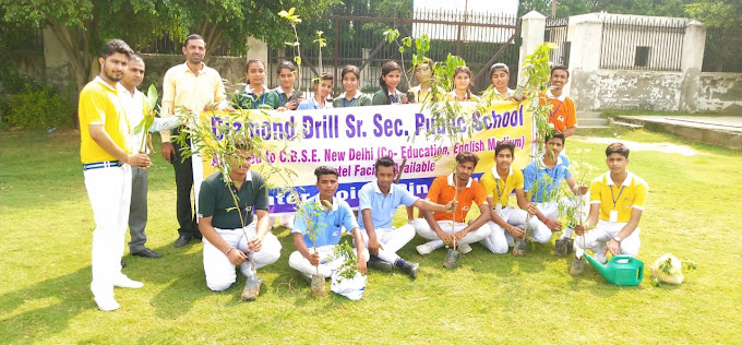 Diamond Drill Senior Secondary Public School 15