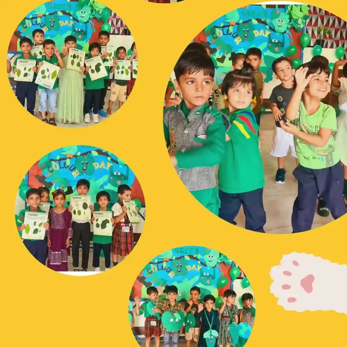 Birla International School 8