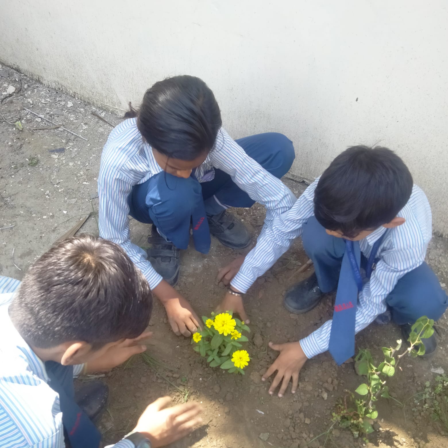MBS International School 25