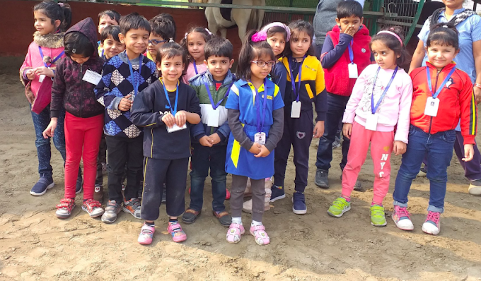 Dolphin Kids School 19
