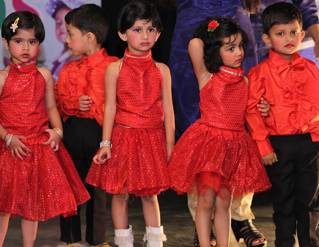 Dolphin Kids School 20
