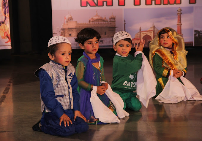 Dolphin Kids School 21