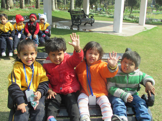 Dolphin Kids School 29