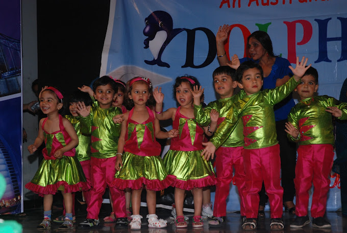 Dolphin Kids School 22
