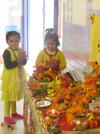 Dolphin Kids School 3