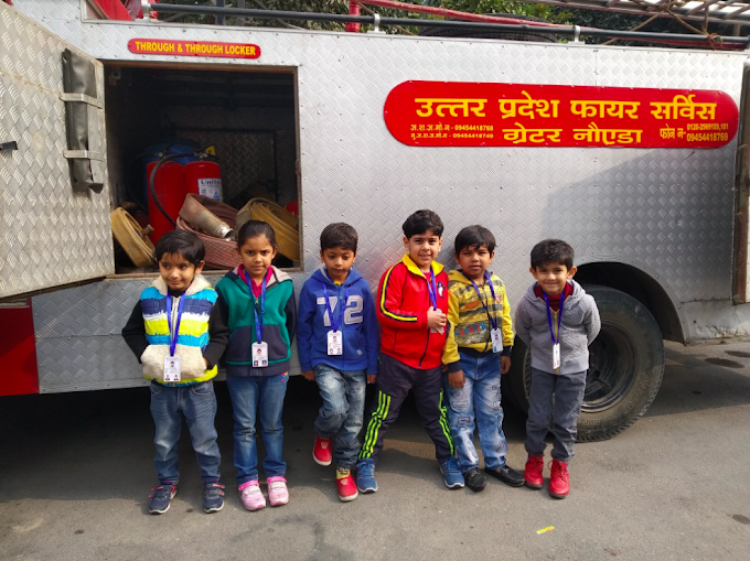 Dolphin Kids School 10