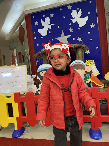 Dolphin Kids School 16