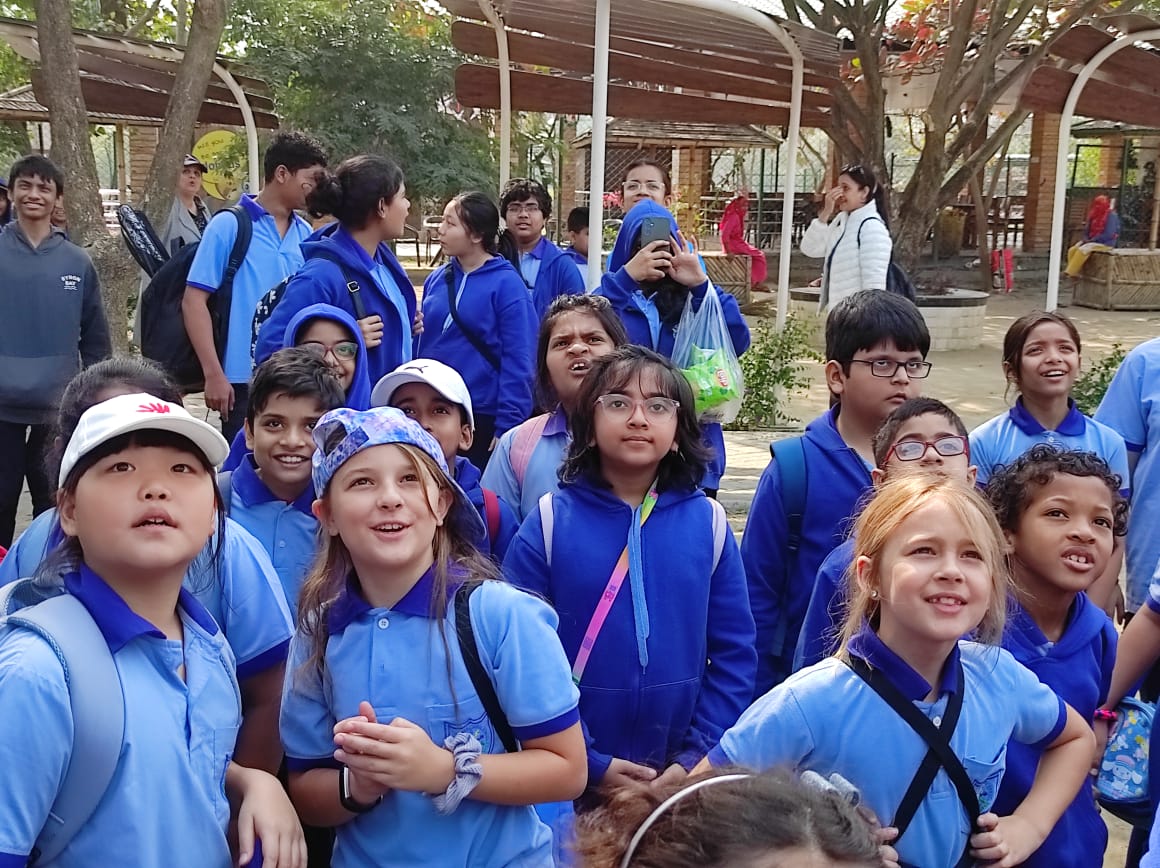 Bridge International School 4