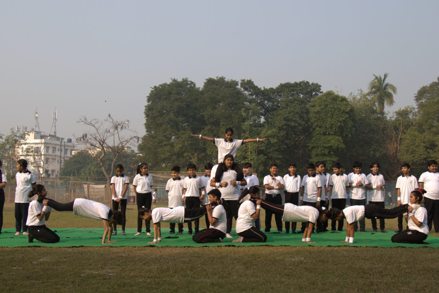 The Cambridge School 5