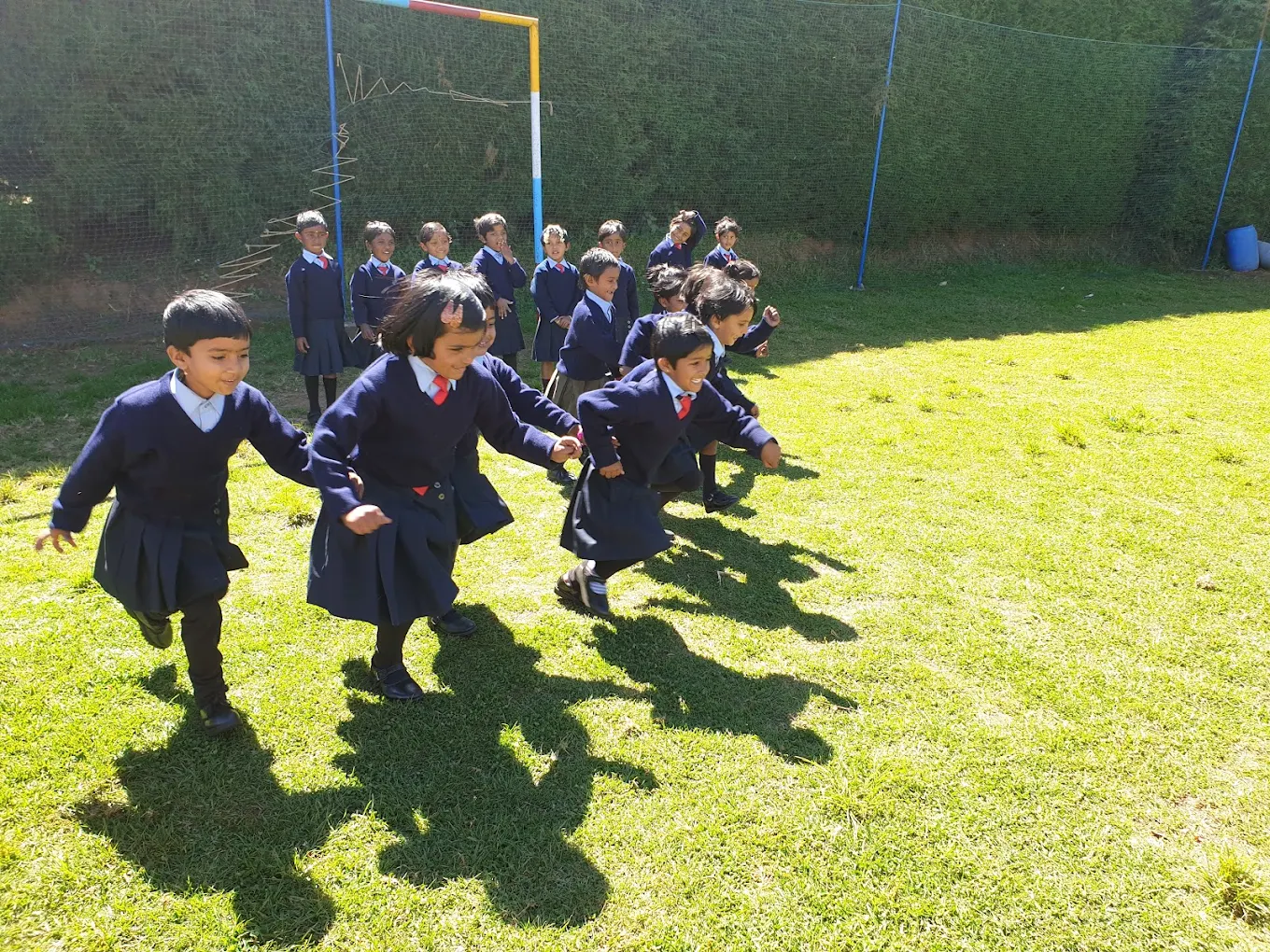 Braeside School 8