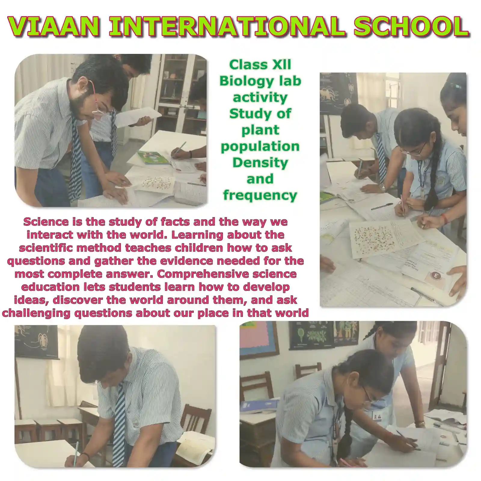 Viaan International School 10
