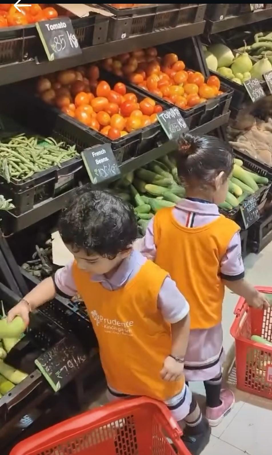 Prudence Junior (Dwarka Sector 8) 12