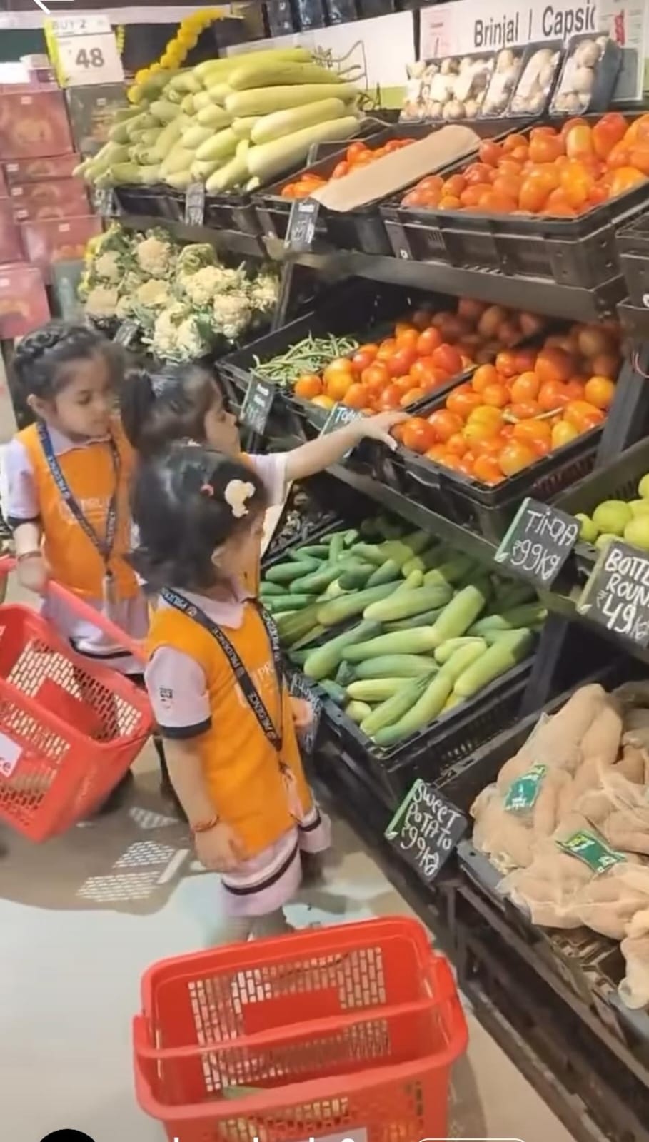Prudence Junior (Dwarka Sector 8) 14