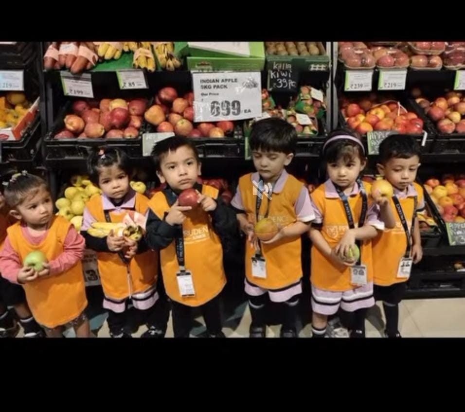 Prudence Junior (Dwarka Sector 8) 13