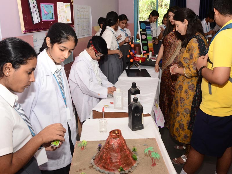 The Indian Heritage School 12