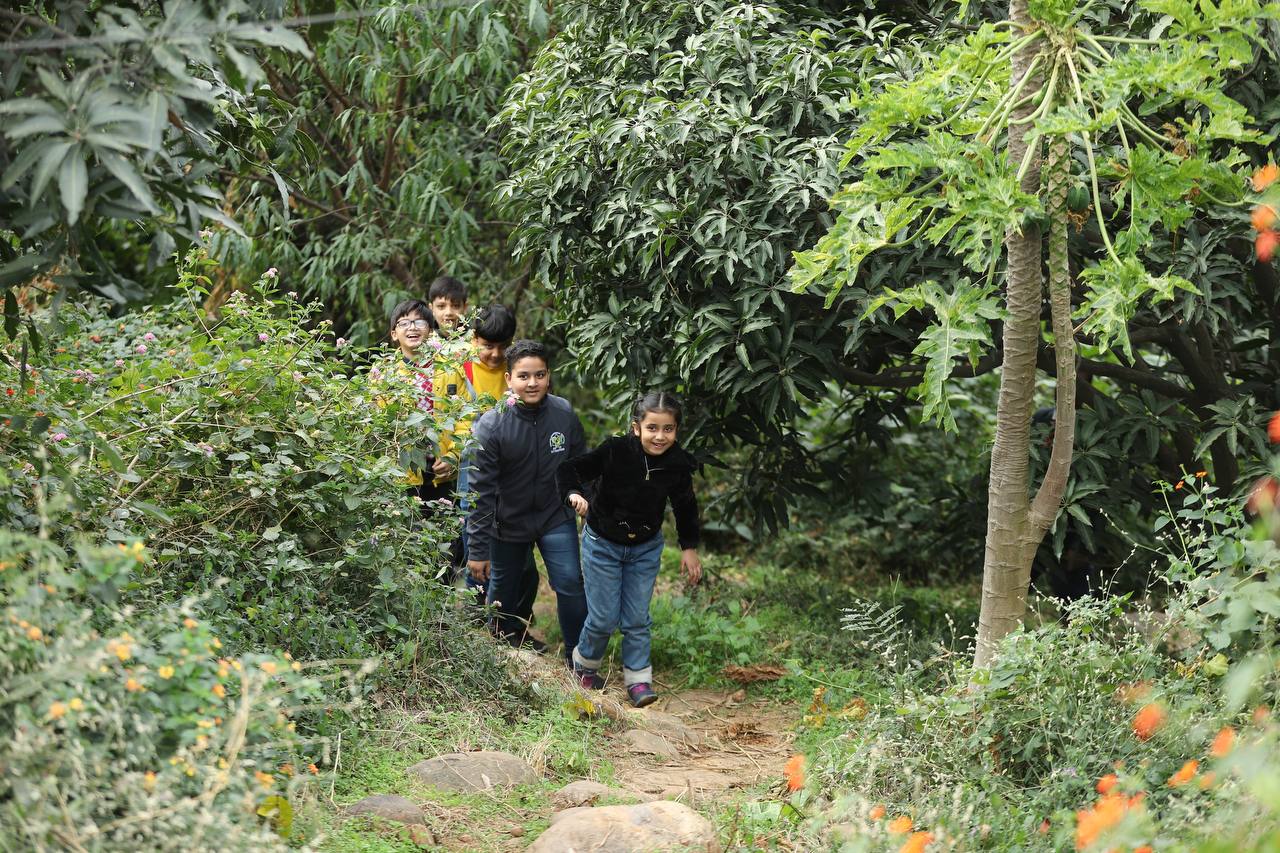 Dalhousie Public School: The Bandhani School 8