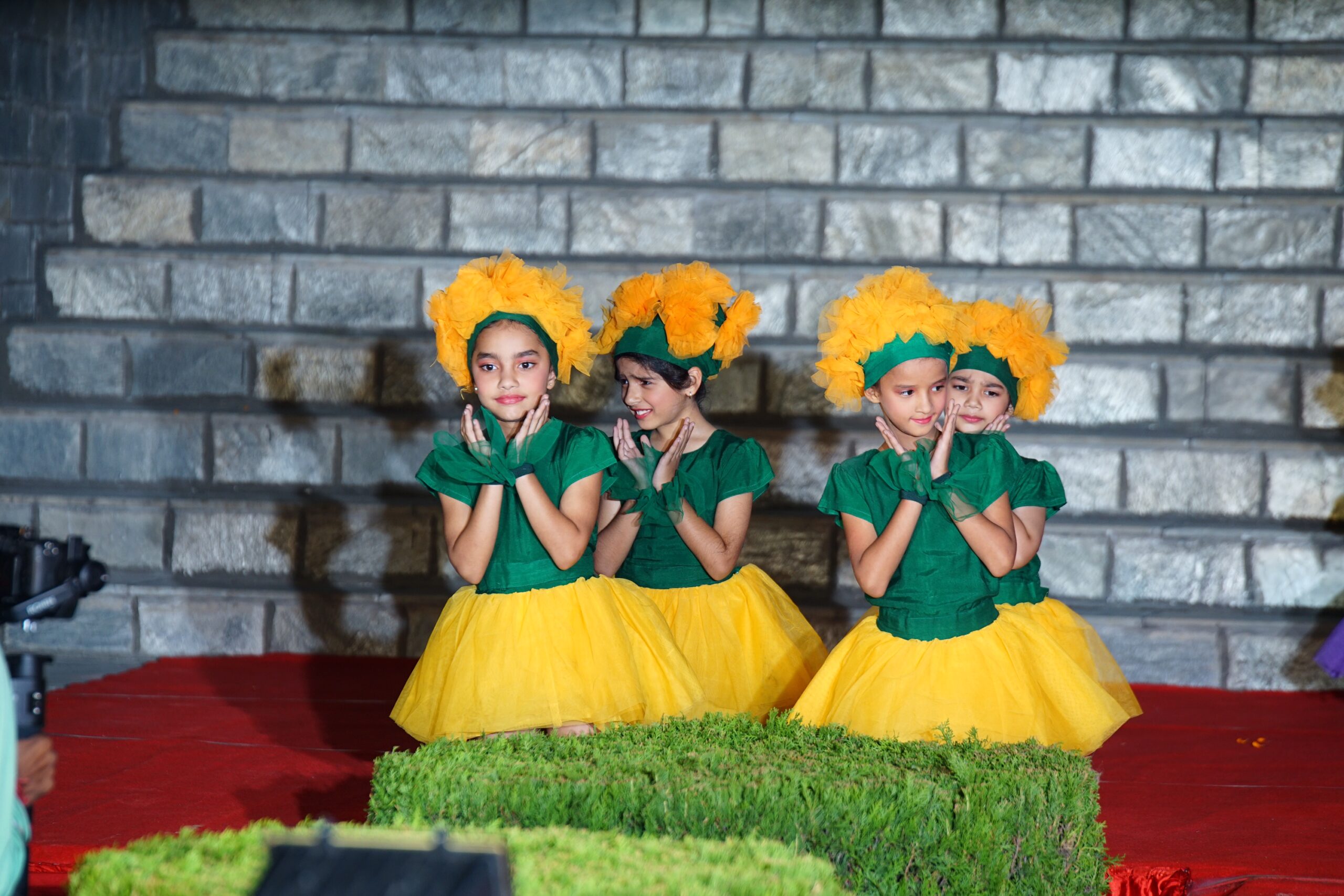 Dalhousie Public School: The Bandhani School 10