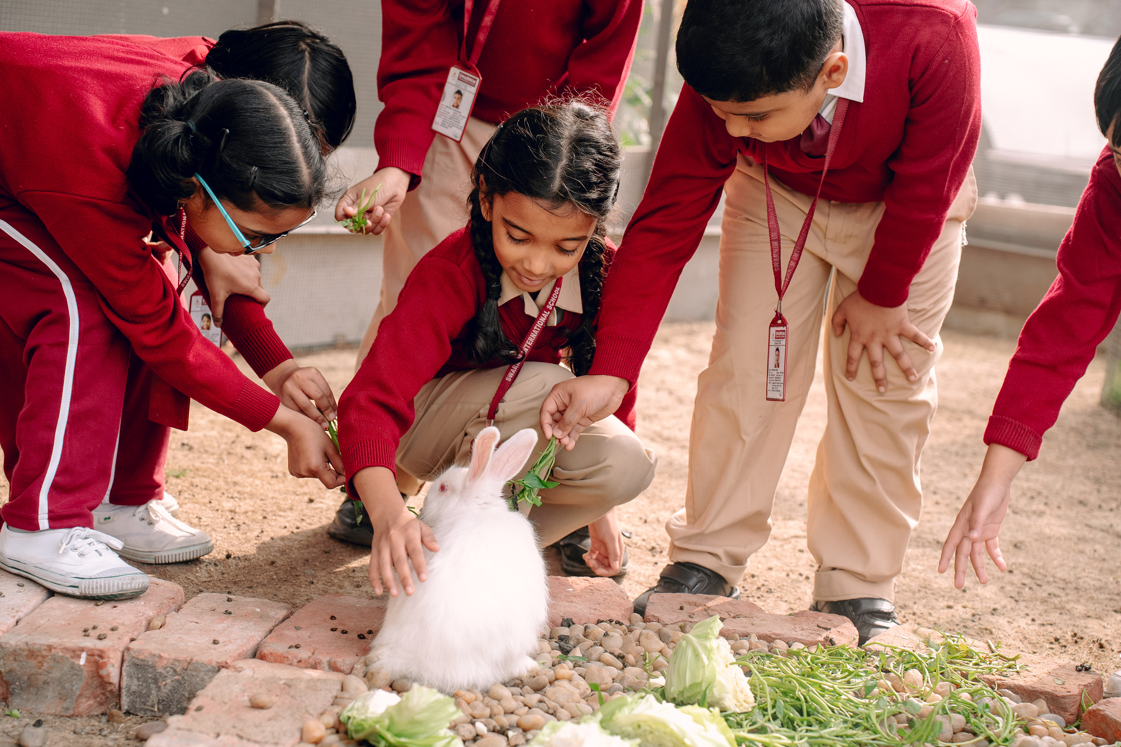 Swarnim International School - kolkata 5