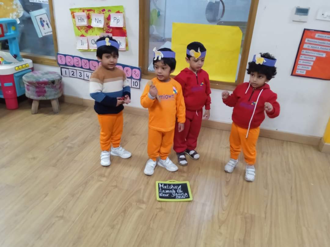 Amity International School 11