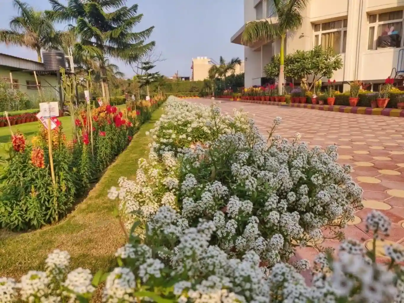 Raghav Global School 10